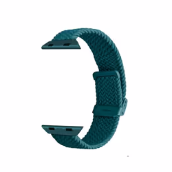 PURO PUAW40LOOPDKGRN parte e accessorio per orologi Cinturino per orologio