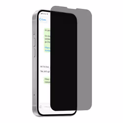 PURO PUSDGPRIPHONESE25 protezione per lo schermo e il retro dei telefoni cellulari Schermo protettivo per la privacy Apple 1 pz