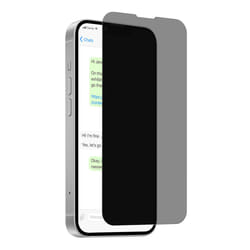 PURO PUSDGPRIPHONESE25 protezione per lo schermo e il retro dei telefoni cellulari Schermo protettivo per la privacy Apple 1 pz