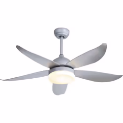 5 Pale in ABS 5 Velocità Design moderno Materiale in ABS Con luce a LED 24W Lumen 3000/4000/6500K Controllo con telecomando T ...
