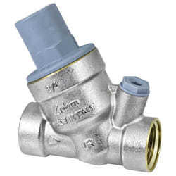 RBM - Riduttore di pressione Rinox Plus con filtro ff 1 28480600