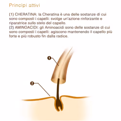 Keramine H Fascia Avorio Fiale Anticaduta per Capelli Secchi 10 Fiale da 10ml - Vista aggiuntiva 4