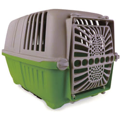 Bellelli - trasporti per animali posteriore per biciclette 'peggy' beige/verde