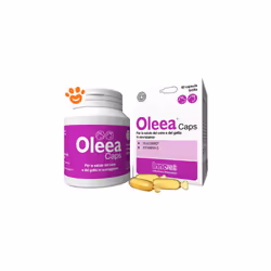 Oleea® Caps aiuta il cane e il gatto a mantenere l’omeostasi del tessuto adiposo attraverso il supporto del sistema endocanna ...