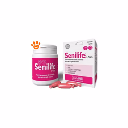 Innovet - Dog e Cat Senilife Plus Dog e Cat Senilife Plus - Confezione da 60 Capsule