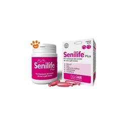 Senilife Plus Integratore per il Benessere del Cervello di Cani e Gatti Anziani 60 Capsule