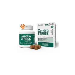 Innovet - Dog Condrostress Mobility Dog Condrostress Mobility - Confezione Da 30 Chews