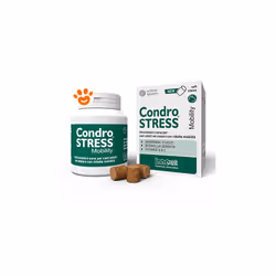 Innovet - Dog Condrostress Mobility Dog Condrostress Mobility - Confezione Da 60 Chews