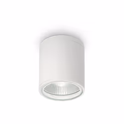 Collezione GUN TUBI DI LUCE Plafoniera a 1 luce con corpo luce in alluminio con finitura in vernice bianca. Diffusore in vetr ...