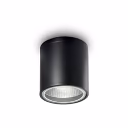 Collezione GUN TUBI DI LUCE Plafoniera a 1 luce con corpo luce in alluminio con finitura in vernice nera. Diffusore in vetro  ...