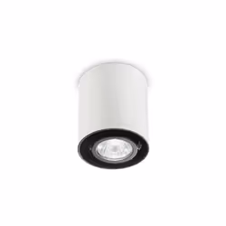 Collezione MOOD PLAFONIERE MODERNE Plafoniera a 1 luce con corpo luce in metallo disponibile con sezione tonda. Nero all'inte ...