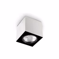 Collezione MOOD PLAFONIERE MODERNE Plafoniera a 1 luce con corpo luce in metallo disponibile con sezione quadra. Nero all'int ...