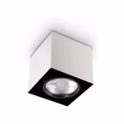 Collezione MOOD PLAFONIERE MODERNE Plafoniera a 1 luce con corpo luce in metallo disponibile con sezione quadra. Nero all'int ...