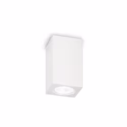 Collezione TOWER LUCE CHE SCENDE Plafoniera a 1 luce con base di fissaggio in materiale plastico con sistema a baionetta. Cor ...