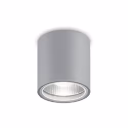 Collezione GUN TUBI DI LUCE Plafoniera a 1 luce con corpo luce in alluminio con finitura spazzolata grigia. Diffusore in vetr ...
