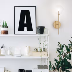 Collezione EQUINOXE LUCE IN DIVERSE DIREZIONI Applique a 1 luce con montatura a bracci in metallo con finitura ottone antico. ...