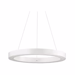 Collezione ORACLE FORME SLIM E CONTEMPORANEE Sospensione a 1 luce con rosone e corpo luce in alluminio verniciato a polveri. ...