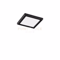 Plafoniera con corpoluce e diffusore in materiale plastico opaco. Apparecchio per installazione in superficie o a incasso.