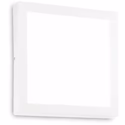 Collezione Universal PER ILLUMINARE OGNI SPAZIO Plafoniera Contemporanea Universal Acciaio Bianco Led Integrato 25W 4000K IP2 ...