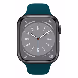 Celly WBANDSIL44GN parte e accessorio per orologi Cinturino per orologio - Vista aggiuntiva 2