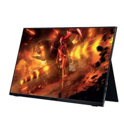 Nilox NXMP17FHD601 TV e monitor portatile Nero 43,9 cm (17.3") LED 1920 x 1080 Pixel