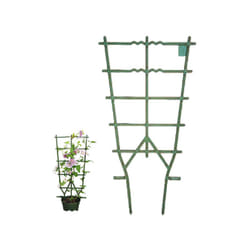 Telaio Vasi Rampicanti Verde Cm 35 h 82