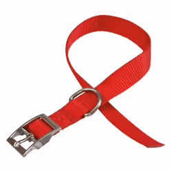 Collare nylon rosso 25x55cm CrociDimensione: 25x55cmColore rossoCollare nylonPer cani Caratteristiche tecniche Accessori in D ...