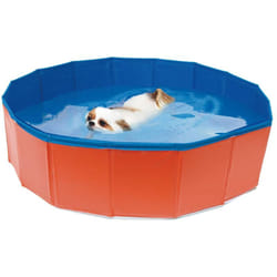 CROCI PISCINA Pieghevole per cani, Vasca da bagno per cani in PVC, Parco giochi per cani all'aperto, Dimensioni: 120X30cm
