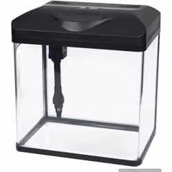 Acquario Laguna Led 30 con sistema di illuminazione e filtraggio Marca: Amtra Caratteristiche: Acquario in vetro con filtro i ...