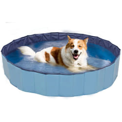 Croci - Piscina gioco rigida colore blu per cani: 160x30 h cm