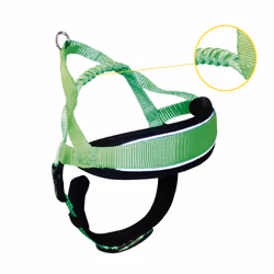 Croci C5081867, Cane, Pettorina con guinzaglio, L, Verde, Nylon, Tutte le razze