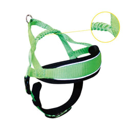 Croci C5081867 L Verde Nylon Cane Pettorina con guinzaglio