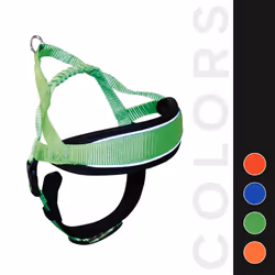 Croci C5081867 L Verde Nylon Cane Pettorina con guinzaglio