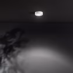 Collezione Fanale LA LAMPADA VERSATILE Plafoniera in alluminio bianco progettata per uso esterno o interno, dalla forma cilin ...