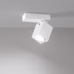 Collezione Oddy SPOT ORIENTABILE Applique/Plafoniera in alluminio bianco opaco 1 x GU10 MAX 50W (non inclusa) L12 x L6 x H.12 ...