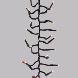 Lotti Catena 1104 MiniLED decora albero uso esterno, 1104 lampada(e), LED, Esterno, Verde, AC, 36 V