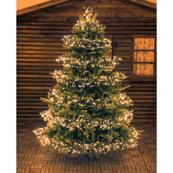 Lotti Catena 1104 MiniLED decora albero uso esterno