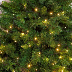 Lotti - Catena Lineare Minilucciole a Led Serie 'Tl-C' 700 Led L.Calda - 30 Mt. (28+2)