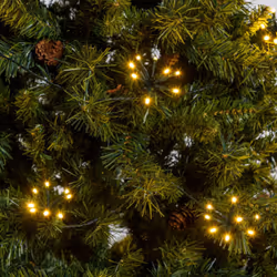 Catena lineare Bunch GX8 320 LED bianco caldo Scopri la catena lineare Bunch GX8 320 LED in bianco caldo, ideale per creare a ...