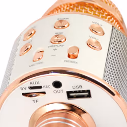 Xtreme Hollywood Rose Gold, Argento Microfono per karaoke - Vista aggiuntiva 4