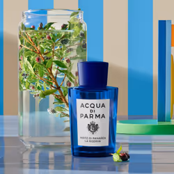 Acqua di Parma Mirto di panarea la riserva 50 ml Donna - Vista aggiuntiva 5