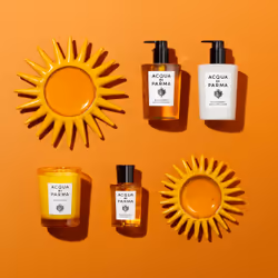 Acqua di Parma Buongiorno Sapone Mani e Corpo 300ml - Vista aggiuntiva 5