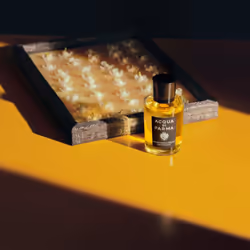 Acqua di Parma Gelsomino a Freddo Eau De Parfum 180 ml - Vista aggiuntiva 7