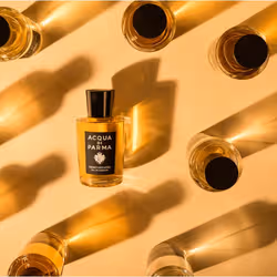 Acqua di Parma Virtuous cedar Eau De Parfum 50ml - Vista aggiuntiva 8