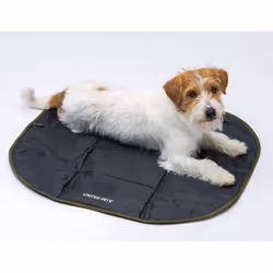 United Pets Lazy Dog Mat Cane - Vista aggiuntiva 4