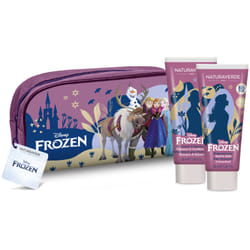 Disney Frozen Beauty Case