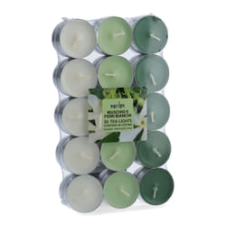 Magic Lights Confezione 30 Tea Lights, Profumo Muschio Bianco