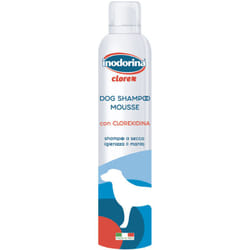 Champu dry champu toodorine CHlorex 300 ml