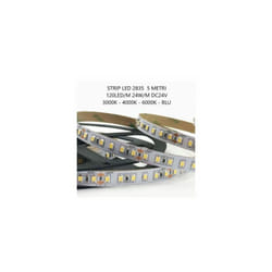 Intec - Striscia Strip led 18w/m 120 Led/m 2072Lm/m Bobbimna 5 Metri DC24V IP20