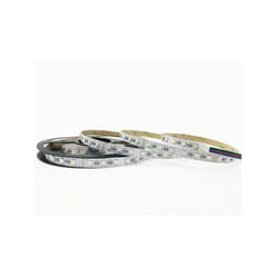 Intec - Striscia Strip led 5050 300 led 96W DC24V rgbw (4000K) 500X1,2CM